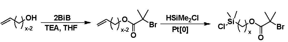 initiator preparation